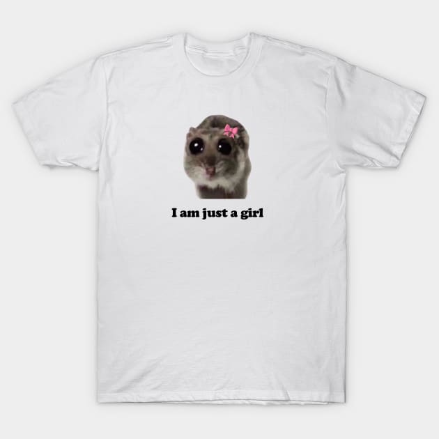 I am Just A Girl Hamster Meme Baby Tee 90s Style Tshirt Weird tshirt Y2k Coquette Aesthetic Funny Tshirt Soft Girl T-Shirt by Hamza Froug